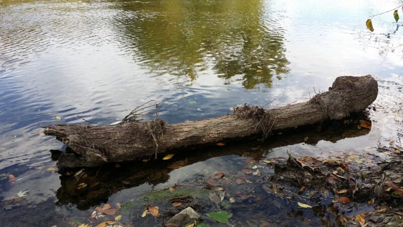 Acri Meadows - Enola, PA