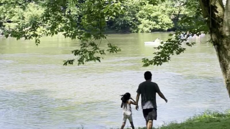 Adams-Ricci Park - Enola, PA