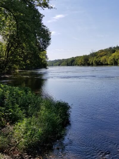 Adams-Ricci Park - Enola, PA