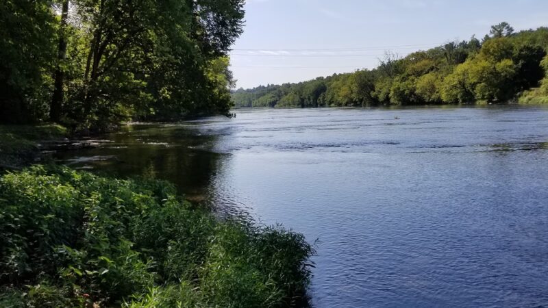Adams-Ricci Park - Enola, PA