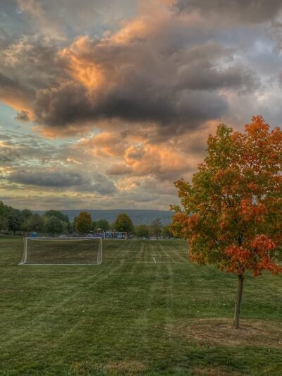 Adams-Ricci Park - Enola, PA