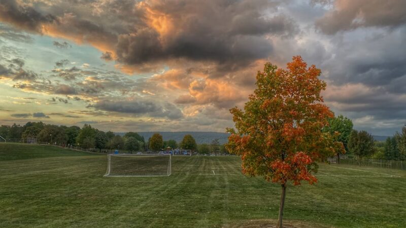 Adams-Ricci Park - Enola, PA