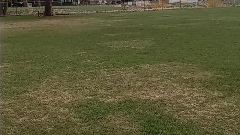 Enterprise City Park - Enterprise, OR