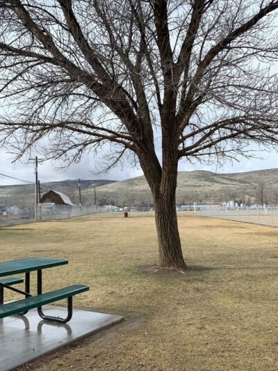 Ephrata Dog Park - Ephrata, WA