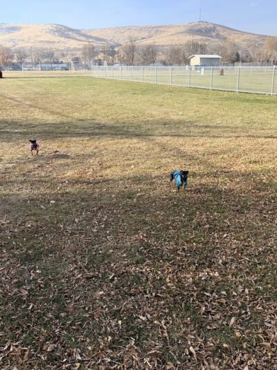 Ephrata Dog Park - Ephrata, WA