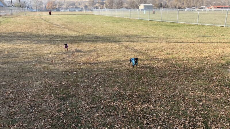 Ephrata Dog Park - Ephrata, WA