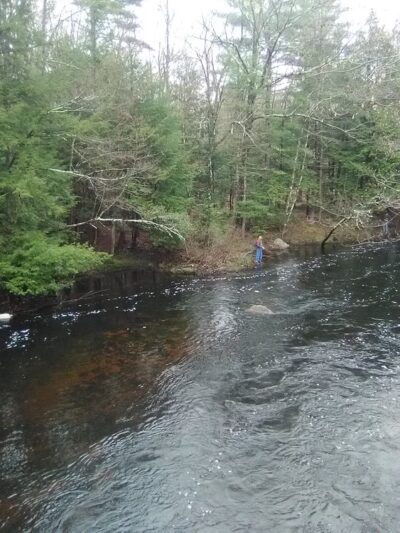 Folsom Conservation Area - Epping, NH