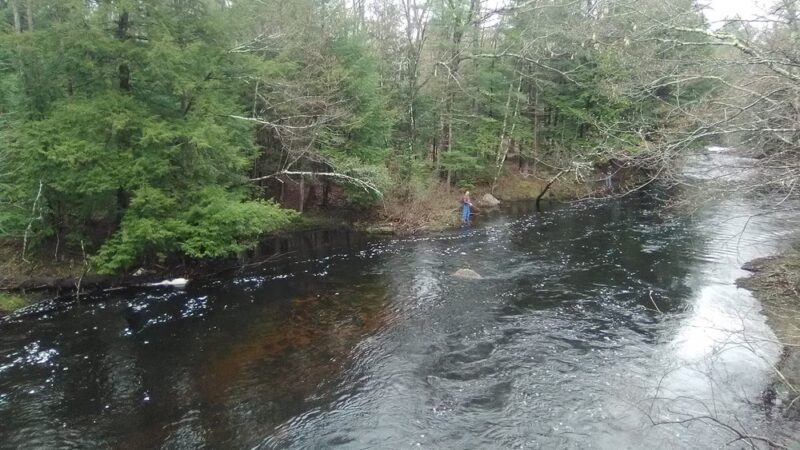 Folsom Conservation Area - Epping, NH
