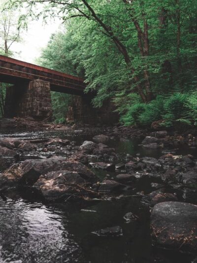 Folsom Conservation Area - Epping, NH