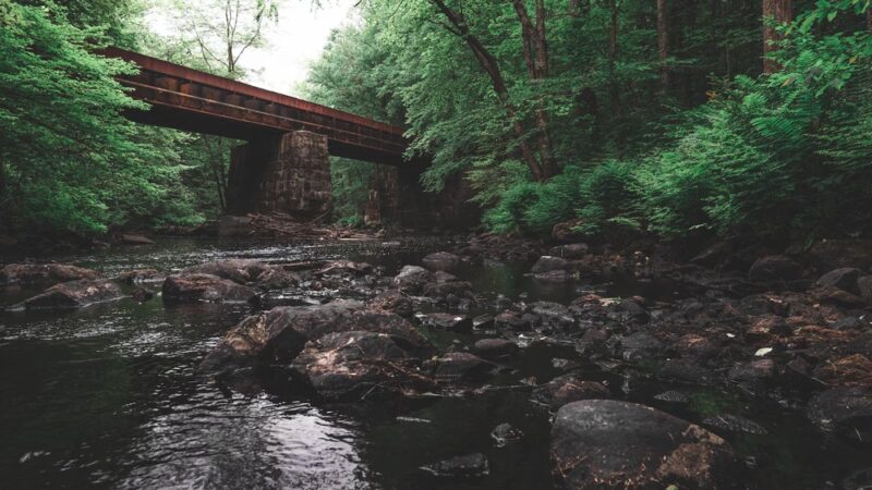 Folsom Conservation Area - Epping, NH