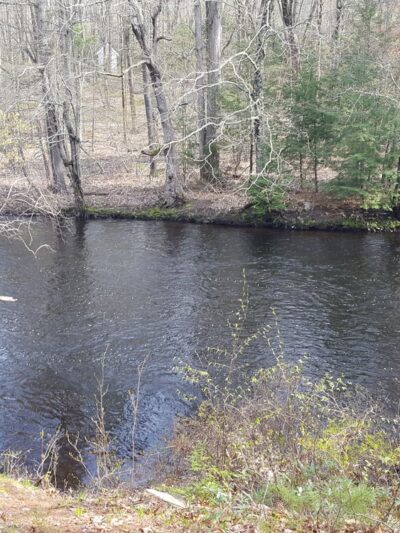 Folsom Conservation Area - Epping, NH