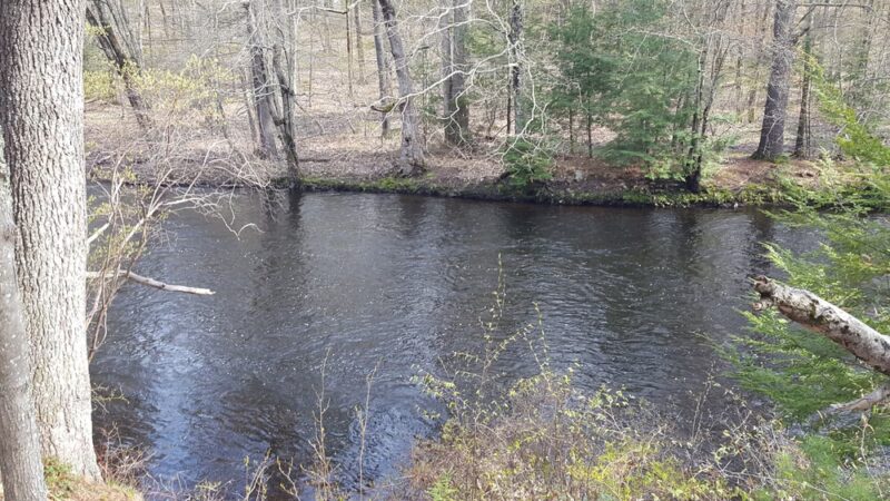 Folsom Conservation Area - Epping, NH