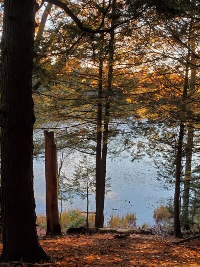 Fox Run Conservation Area - Epping, NH
