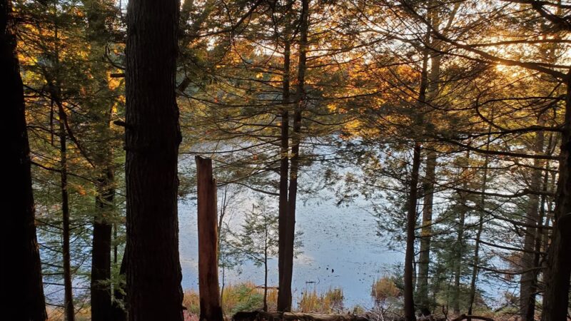 Fox Run Conservation Area - Epping, NH
