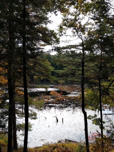 Fox Run Conservation Area - Epping, NH