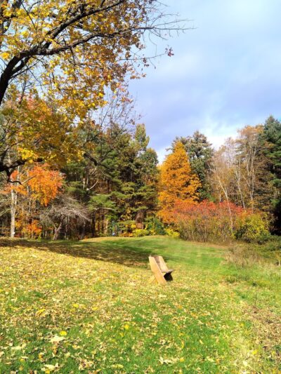 Fox Run Conservation Area - Epping, NH