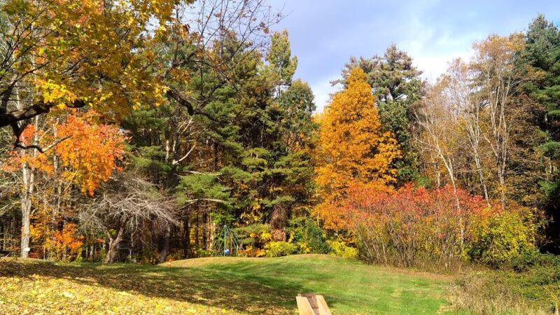 Fox Run Conservation Area - Epping, NH
