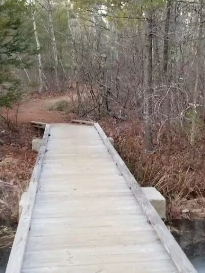 Mast Road Natural Area - Epping, NH