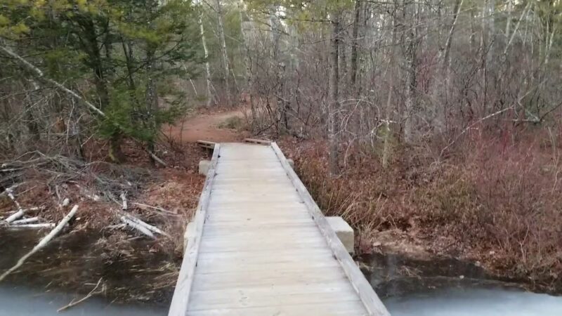 Mast Road Natural Area - Epping, NH