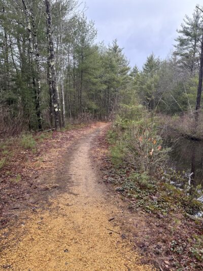 Mast Road Natural Area - Epping, NH