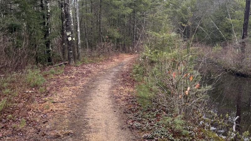 Mast Road Natural Area - Epping, NH
