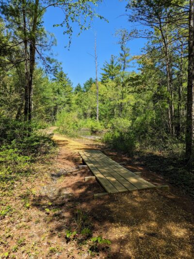 Mast Road Natural Area - Epping, NH