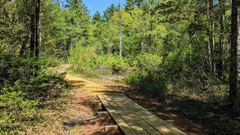 Mast Road Natural Area - Epping, NH