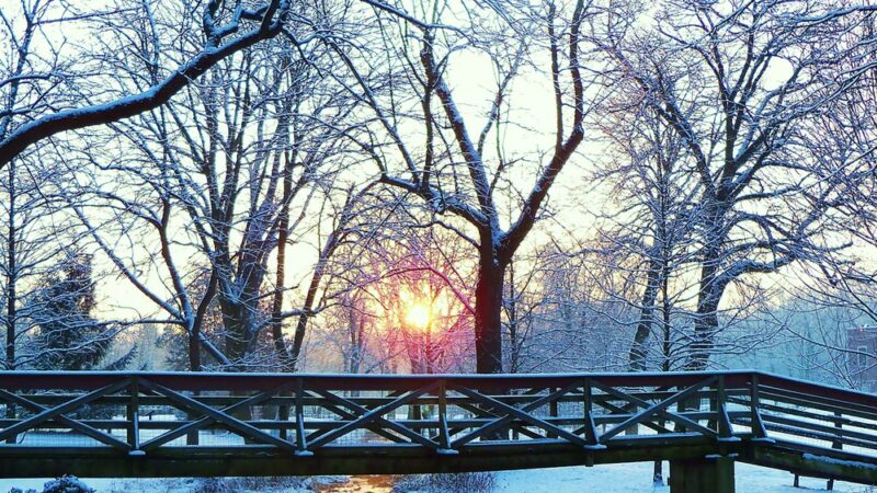 James A. Cisco Park - Erdenheim, PA