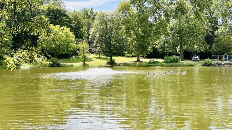 James A. Cisco Park - Springfield Township Montco - Erdenheim, PA