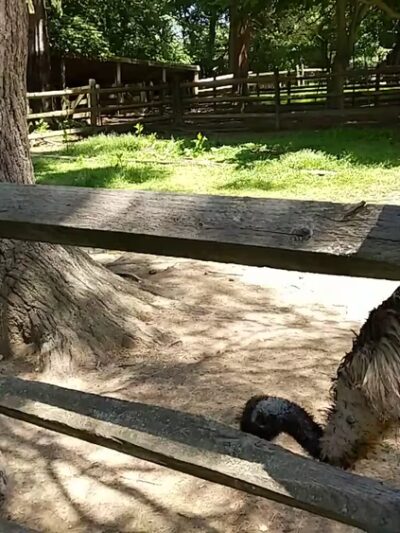 James A. Cisco Park - Springfield Township Montco - Erdenheim, PA