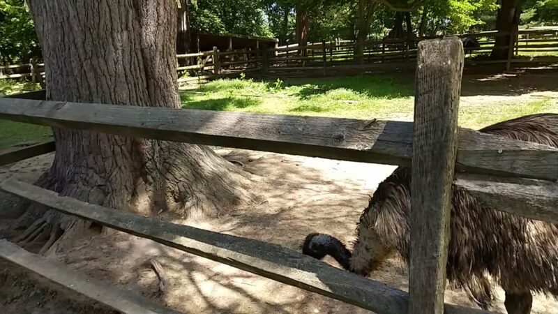 James A. Cisco Park - Springfield Township Montco - Erdenheim, PA