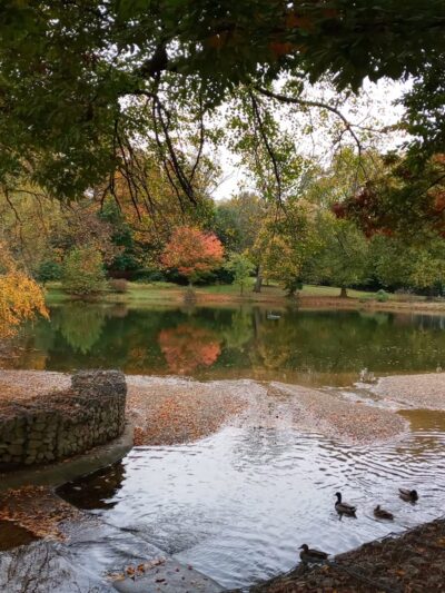 James A. Cisco Park - Springfield Township Montco - Erdenheim, PA