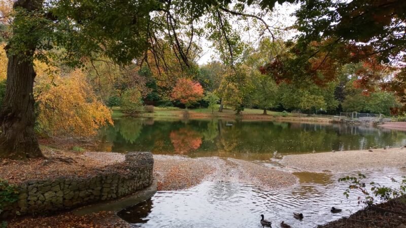 James A. Cisco Park - Springfield Township Montco - Erdenheim, PA