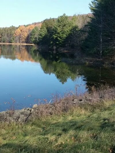 Park Station Campground - Erin, NY