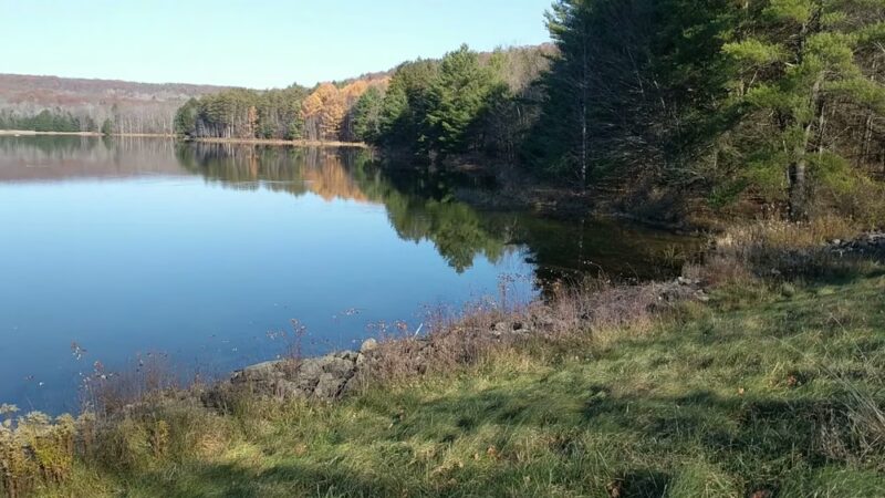 Park Station Campground - Erin, NY