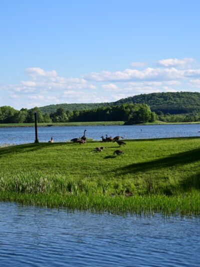 Park Station Campground - Erin, NY