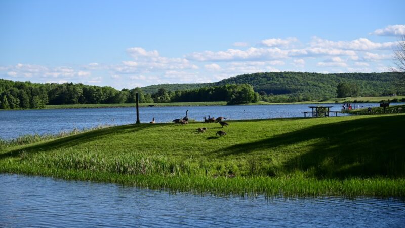 Park Station Campground - Erin, NY