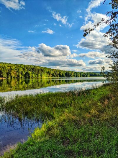 Park Station Campground - Erin, NY