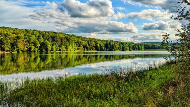 Park Station Campground - Erin, NY