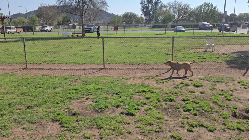Mayflower Dog Park - Escondido, CA