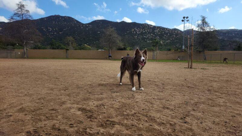 Mayflower Dog Park - Escondido, CA