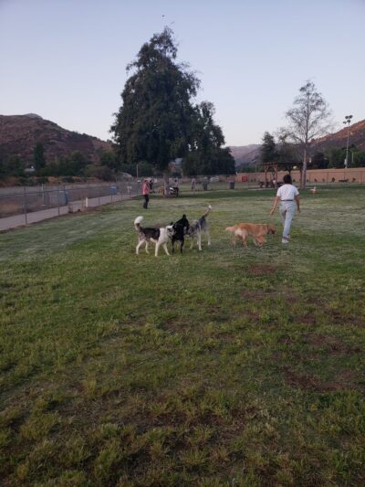 Mayflower Dog Park - Escondido, CA