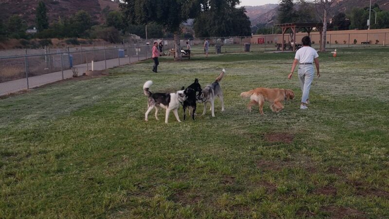 Mayflower Dog Park - Escondido, CA