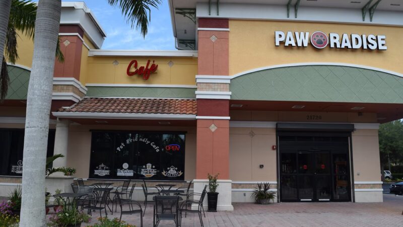 Pet Friendly Café & Indoor Dog Park - Estero, FL