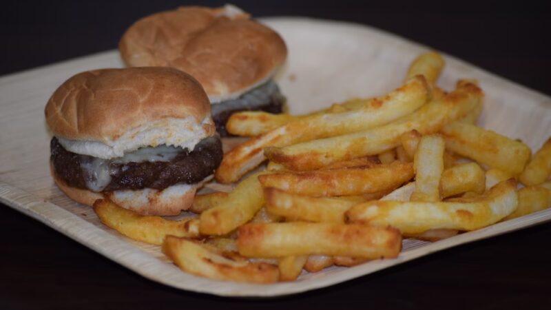 Pet Friendly Café & Indoor Dog Park - Estero, FL