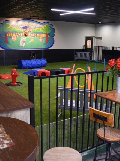 Pet Friendly Café & Indoor Dog Park - Estero, FL