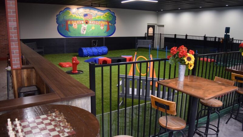 Pet Friendly Café & Indoor Dog Park - Estero, FL