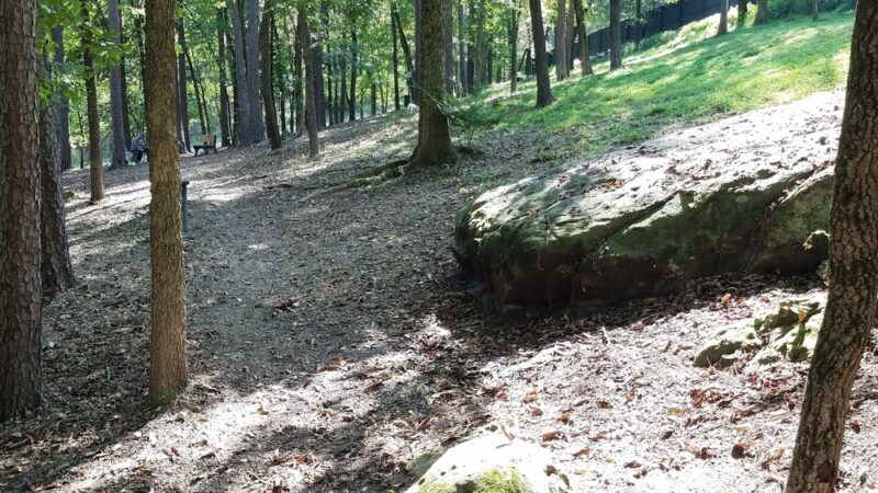 Bark Park Dog Park - Eureka Springs, AR