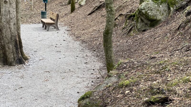 Bark Park Dog Park - Eureka Springs, AR