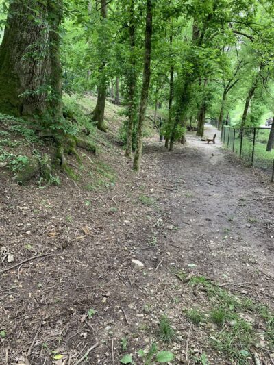 Bark Park Dog Park - Eureka Springs, AR